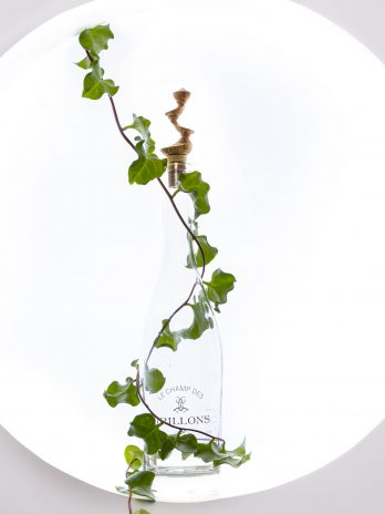 Parure de bouteille, collection sauvage