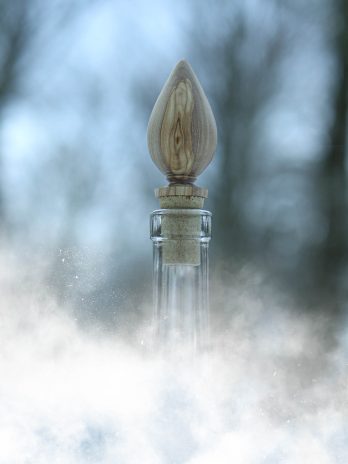 Ornement de la collection féerie d’Hiver