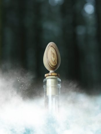 Ornement de la collection féerie d’Hiver